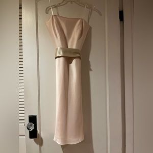 Satin Ann Taylor dress